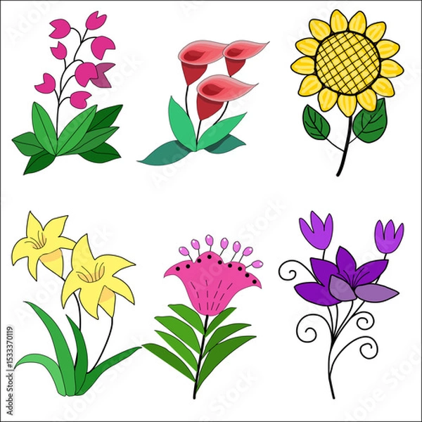 Obraz set of vector flowers, Collection of colorful vector flower images.