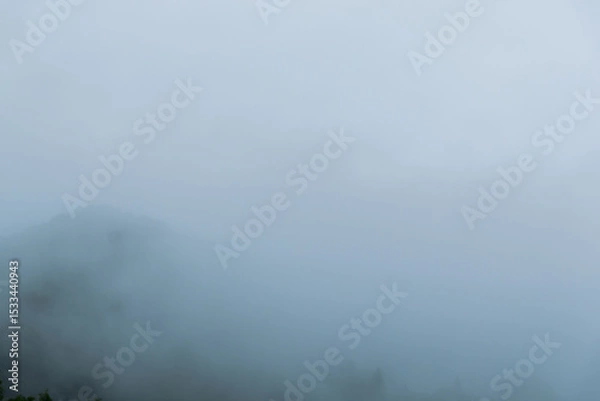 Fototapeta 梅雨の季節　朝霧に覆われた山の木々06