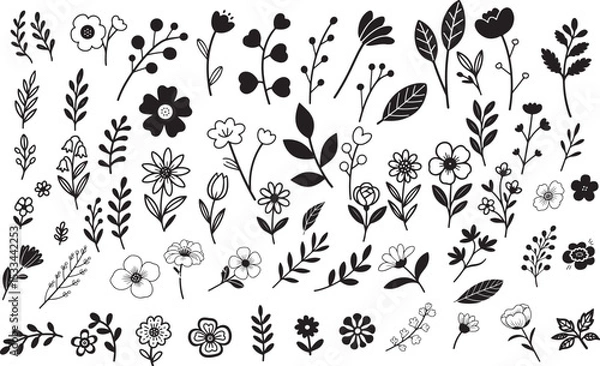Fototapeta Black and White Floral and Botanical Design Elements