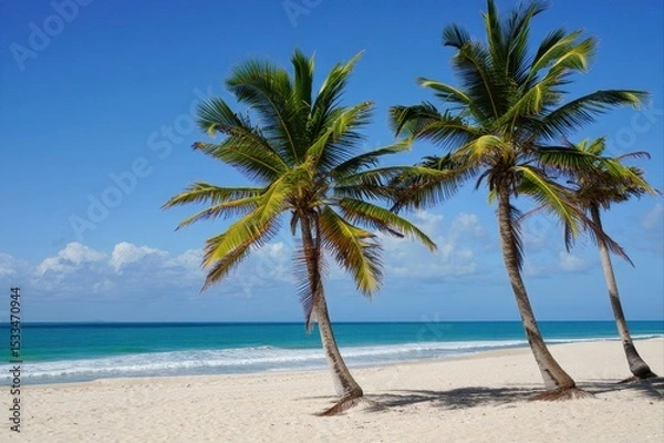 Fototapeta Tropical Beach Scene with Palm Trees under a Clear Blue Sky