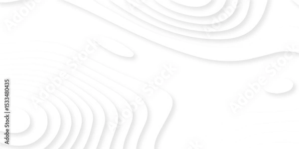 Obraz The patter discovery vector topo map creative discovery White wave grid stripe line map topography. vector geographic contour mounted map background.	