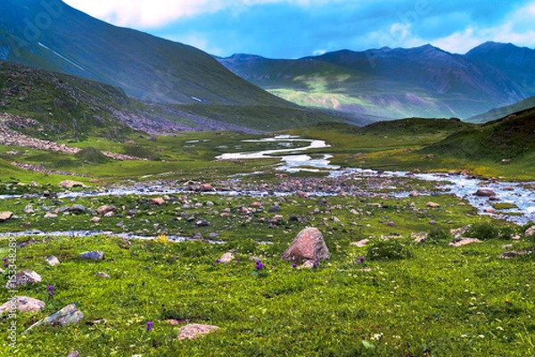 Obraz Mountain landscape in the mountains. Panoramic view of Sonmarg, Kashmir valley in the Himalayan region. Serene meadows, alpine trees, wildflowers on the trails of The Great Lake of Kashmir Trek, 2022.