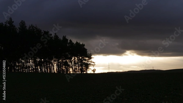 Fototapeta Dramatic silhouette of forest against dark moody sky at sunset, contrast of natural elements, landscape photography capturing serene twilight atmosphere with trees lining the horizon