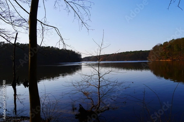 Fototapeta Serene lake landscape with reflection of forest trees at dawn, tranquil water scene surrounded by lush woodland, nature conservation and outdoor recreation beauty perspective