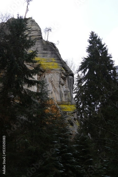 Fototapeta Majestic rock formation with distinctive yellow lichen surrounded by dense pine forest under overcast sky, featuring geological textures and natural landscape