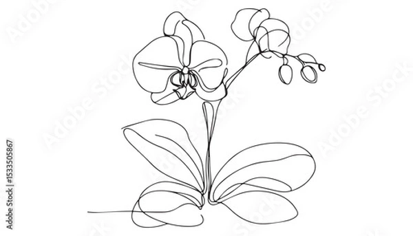 Fototapeta Continuous one single minimal line drawing Orchid flower
