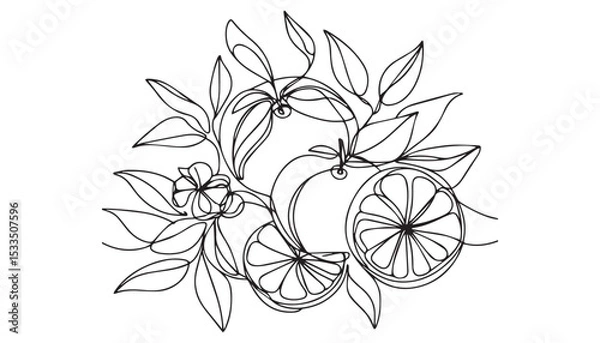 Fototapeta Continuous one single minimal line drawing Orange fruits