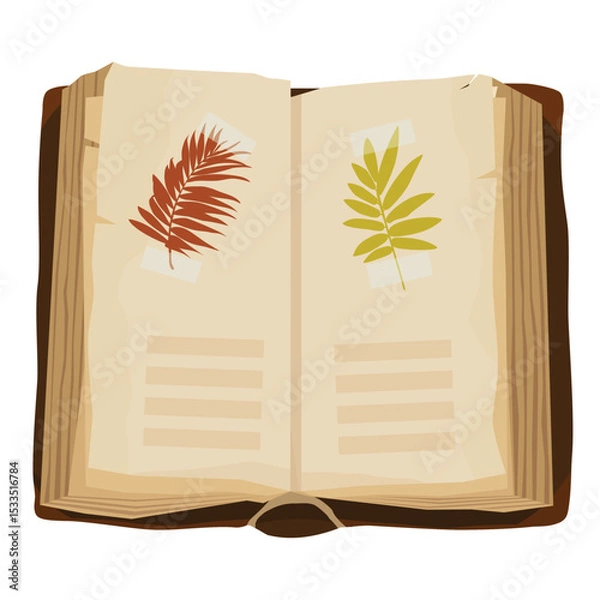 Fototapeta Open book with dried flowers and leaves, herbarium
