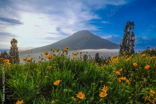 Obraz A scenic view of a mountain with a field of yellow flowers in the foreground under a clear blue sky.