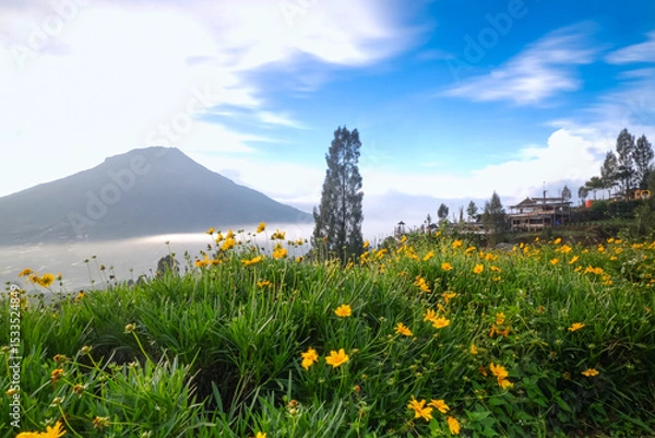 Obraz A scenic landscape with yellow wildflowers in the foreground, a mountain in the background, and a clear blue sky. The image captures a serene and natural atmosphere.