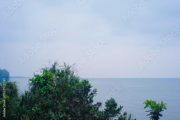 Obraz Serene Coastal Landscape Misty Morning View of Lush Tropical Vegetation and Calm Water