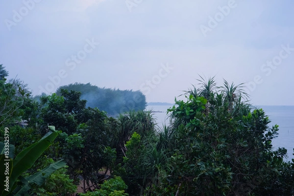 Obraz Serene Coastal Landscape Misty Morning View of Lush Tropical Vegetation and Calm Water