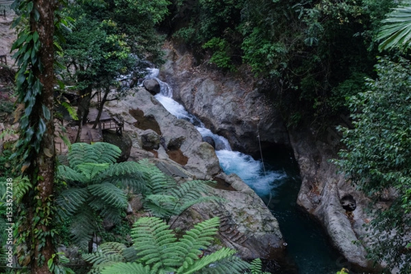 Obraz Serene Waterfall in Lush Green Gorge