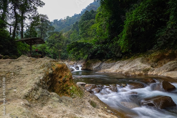 Obraz Serene River Flowing Through Lush Green Forest