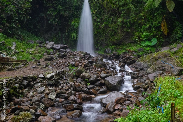 Obraz Serene Waterfall in Lush Greenery