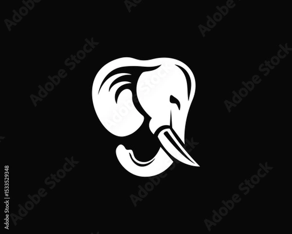 Obraz white head elephant on black background logo design template illustration inspiration