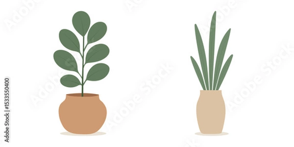 Obraz House plants in pots. Element for design house, room or office. Isolated element on white background.