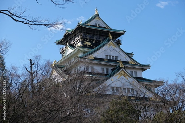 Fototapeta 日本、大阪、大阪城、大阪城公园、日本の城、特別史跡、輪郭式平城、天守、庭園、池塘、春、歷史名勝、綠色、風景、青空、写真素材