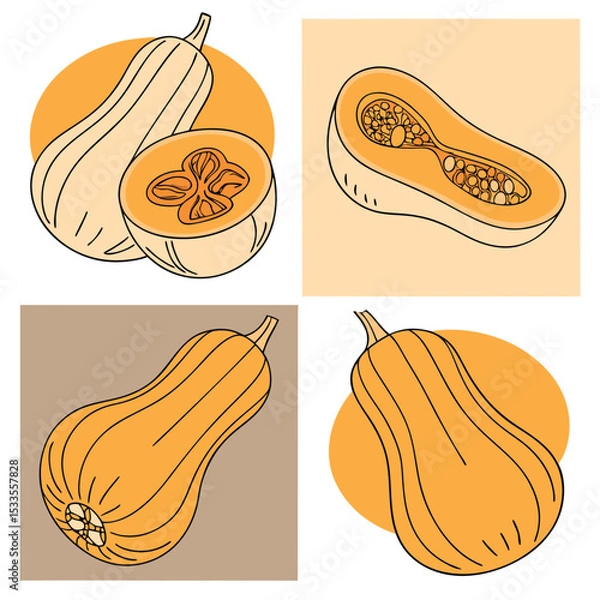 Fototapeta Four butternut squashes, two of them cut in half, orange and brown colors, white background