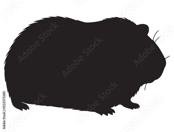 Obraz GUINEA PIG SILHOUETTE