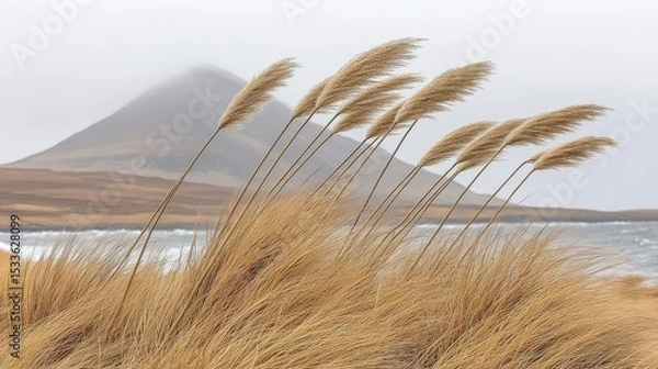 Fototapeta Wild Grasses on Scottish Isle with Mountain in Background Moody Sky