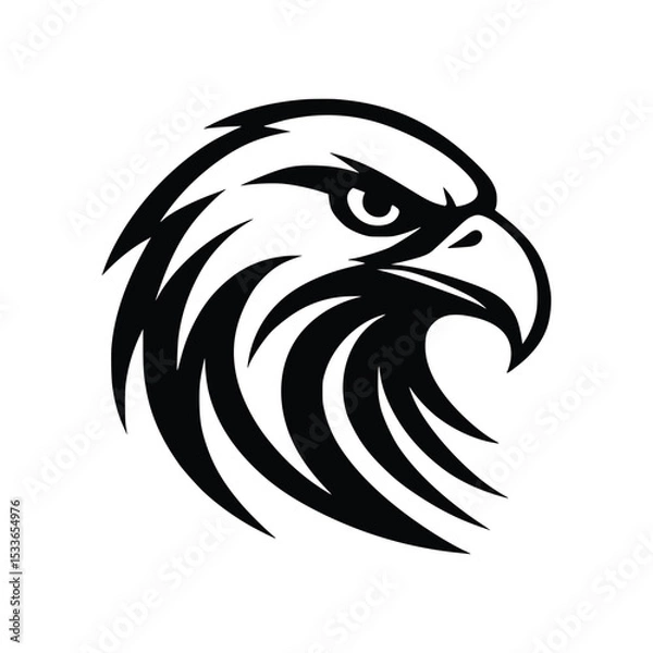 Obraz eagle head vector illustration