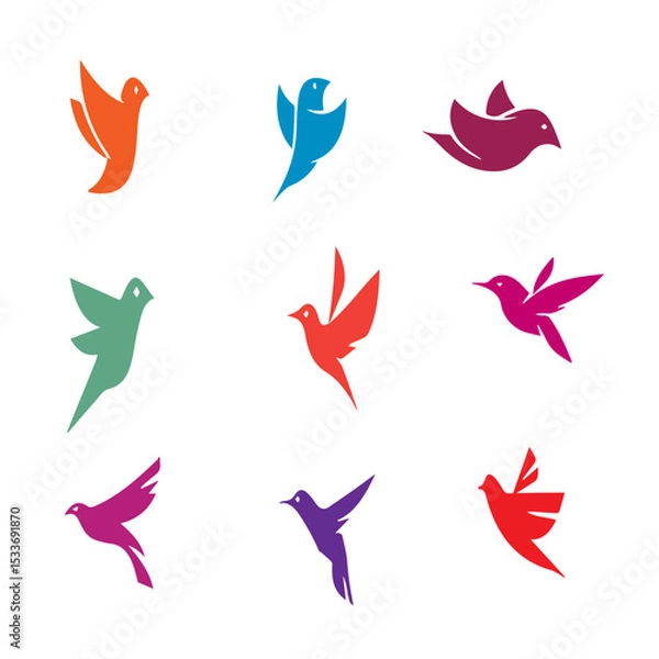 Fototapeta Colorful Flying Birds Vector set
