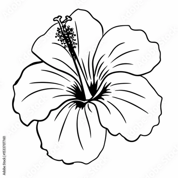 Obraz white flower isolated on black