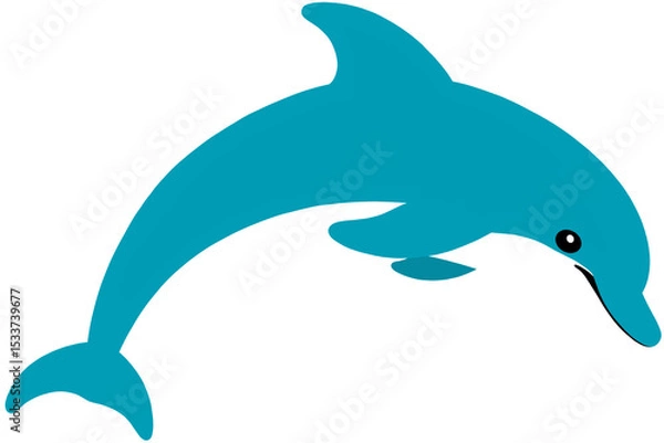Obraz dolphin vector illustration