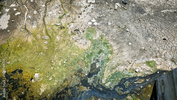 Obraz Dry Polluted Canal with Algae.