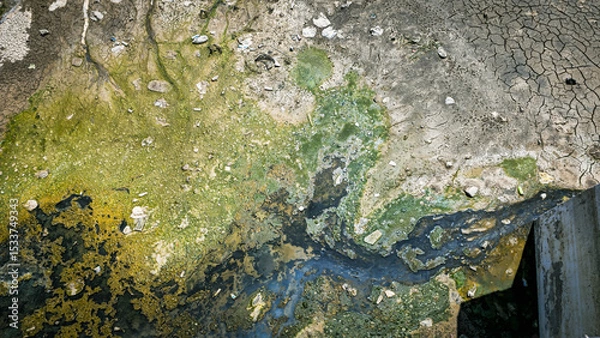 Obraz Dry Polluted Canal with Algae.