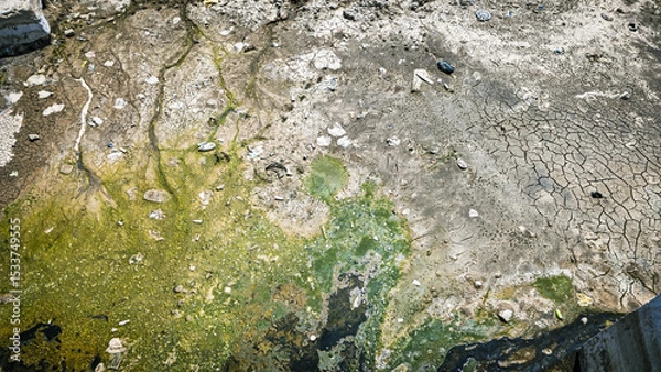 Obraz Dry Polluted Canal with Algae.