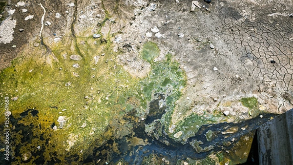 Obraz Dry Polluted Canal with Algae.