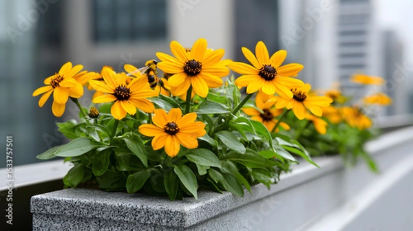 Obraz Bright yellow flowers bloom vibrantly in a concrete planter against an urban backdrop with blurred buildings.