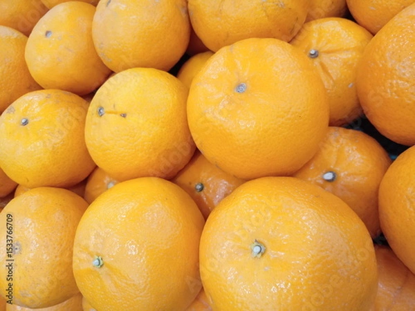 Obraz fresh oranges neatly arranged on supermarket shelves for sale