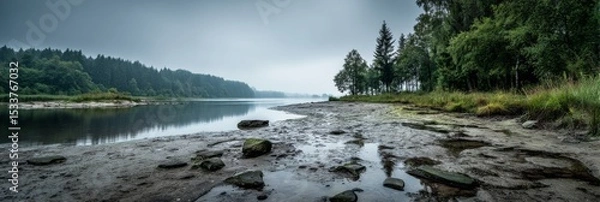 Fototapeta  A dirty shoreline leads to a misty lake and forest under a heavy, grey sky. 