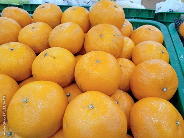 Fototapeta fresh oranges neatly arranged on supermarket shelves for sale