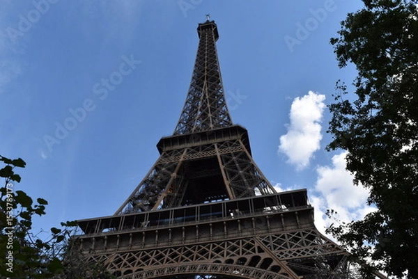 Obraz La célèbre Tour Eiffel, apparaissant entre les feuilles des arbres.