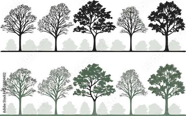 Fototapeta A collection of vector trees in various styles and colors for nature and landscape designs