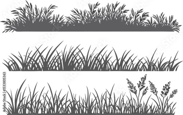Fototapeta Set of hand drawn grayscale silhouettes of grass and wheat vector illustrations