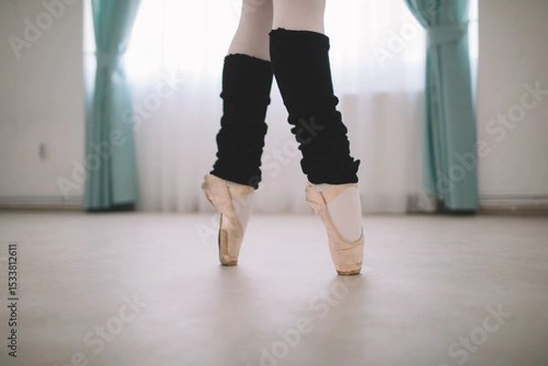Fototapeta Close up of classic ballet dancer in pointe position 