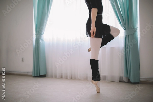Fototapeta Cropped shot of ballet dancer exercising