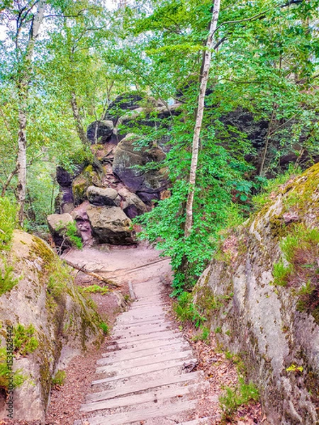 Fototapeta Sandstone rock caves with fern, moss, lichen, with metal stairs at the hiking trail Malerweg, Brandstufen in the national park Saxon Switzerland, Saxony, Germany