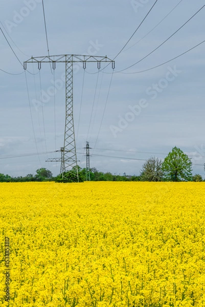 Fototapeta Beautiful farm landscape with yellow rapeseed at blossom field and high voltage power lines in Germany, at Spring and dramatic rainy sky.