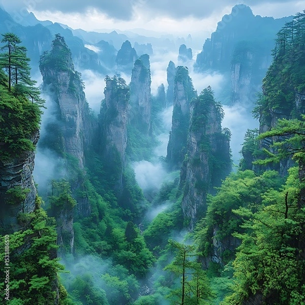 Fototapeta Zhangjiajie forest pillars rise through fog high resolution image