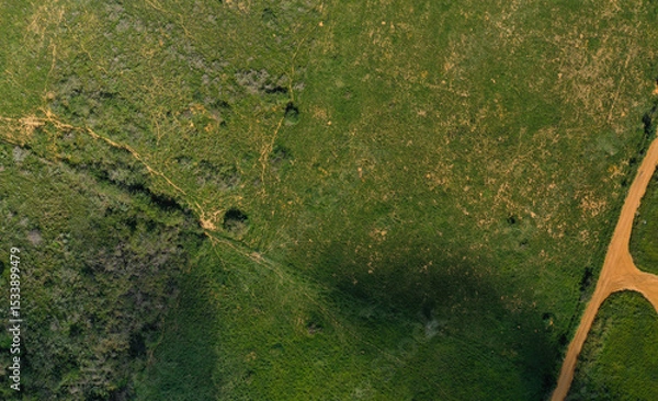 Obraz Grass Field panorama aerial top down view