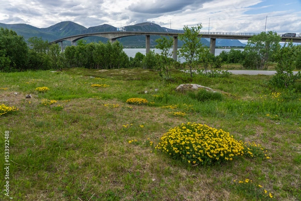 Fototapeta Andøy bridge, Rishøyhamn, Nordland, Norway