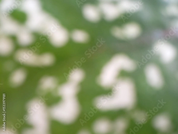 Obraz image of blurry green leaves with white spots