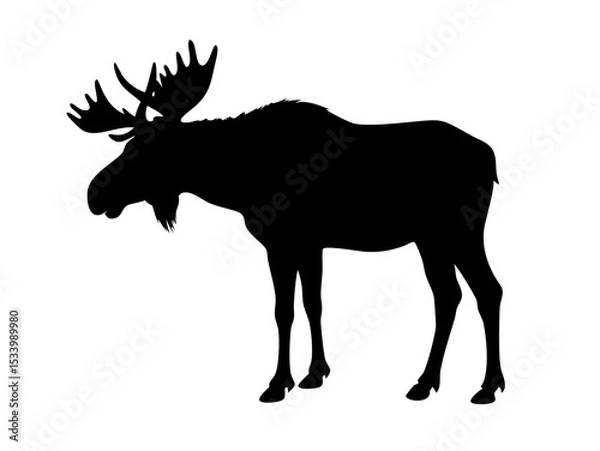 Obraz deer silhouette vector