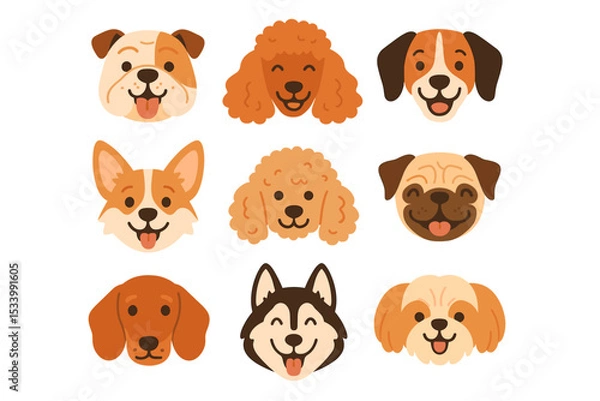 Fototapeta Collection of cute cartoon dog faces. Set of different dog breed heads. Vector illustration of happy pet characters: pug, corgi, poodle, bulldog, husky, dachshund, beagle.